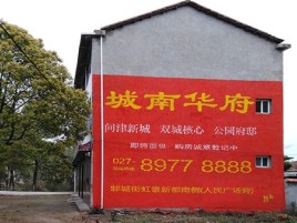  黎平百分之90的人都不了解的农村墙体广告
