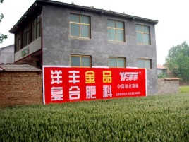  黎平如何让墙体广告展现最大化效果