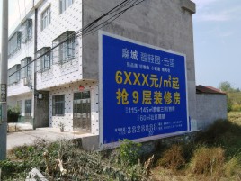  黎平墙体广告质量分析