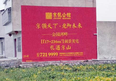  黎平墙体广告发布的关键问题