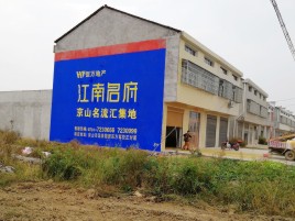  黎平农村墙体广告在不同形式上面展现的不同特色