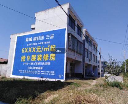 如何策划 黎平墙体广告的投放？