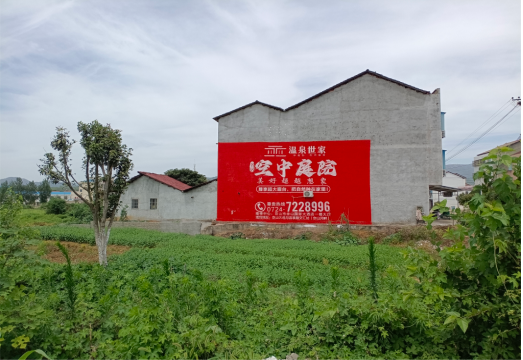  黎平做墙体广告的意义