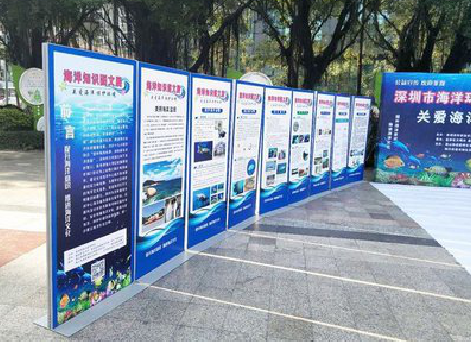  黎平KT板的种类和知识。